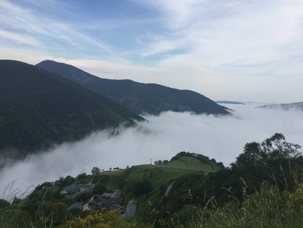 DESEMBARCO EN D.O.P. CANGAS