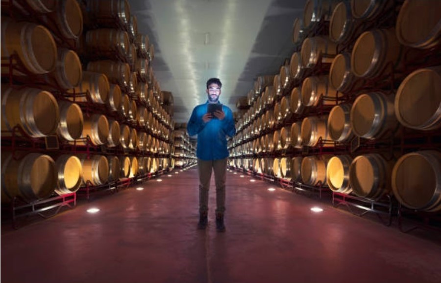 Un software para bodegas para ser más competitivo ¿cómo me ayuda?