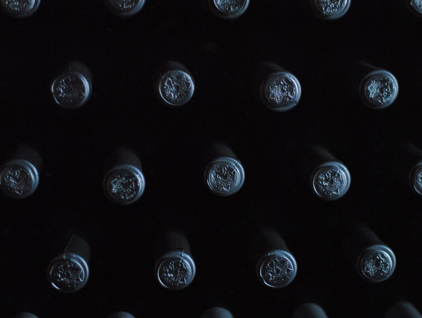 Se inicia la vendimia en España