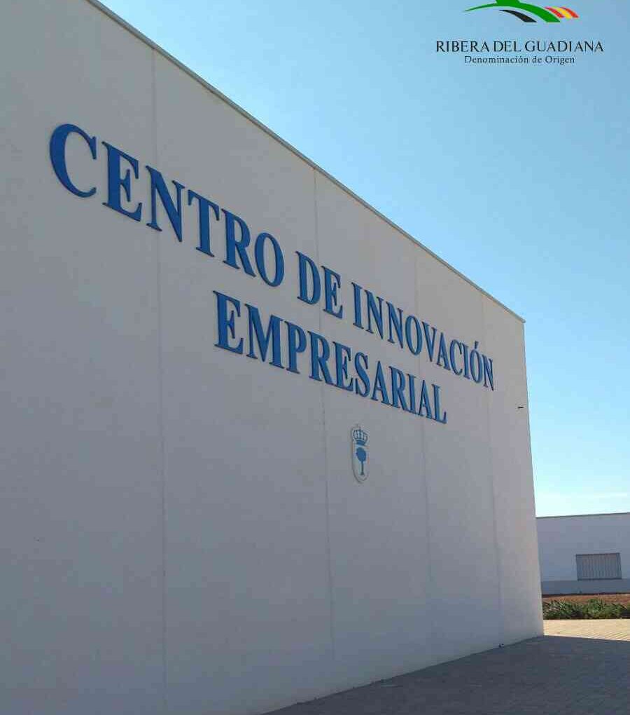 TWIN BODEGA VIAJA A LA D.O. RIBERA DEL GUADIANA