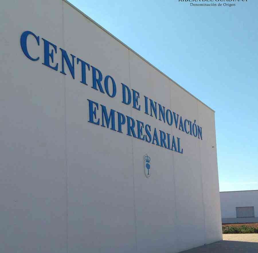 TWIN BODEGA VIAJA A LA D.O. RIBERA DEL GUADIANA