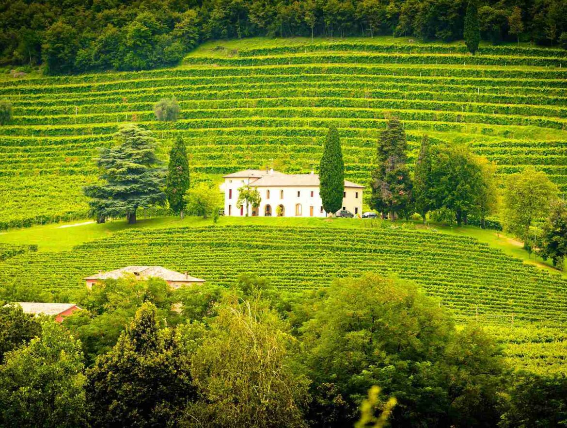 Formación de Libros de agricultura - ERP Twin Bodega