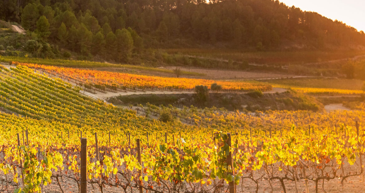 ¿Qué es un workflow y cómo me va a ayudar a gestionar mejor mi bodega?