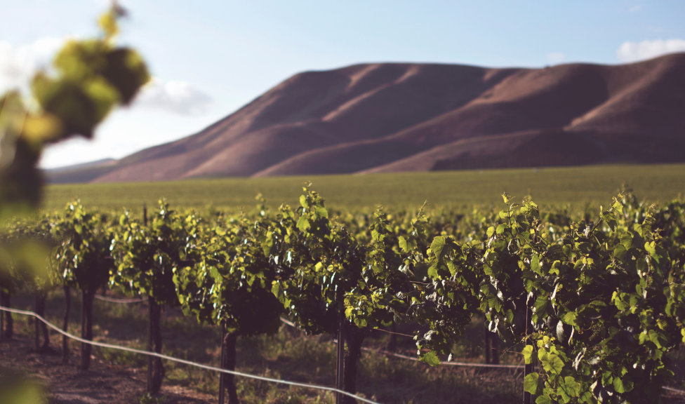 5 Beneficios de Nimbus Bodega: ERP para bodegas