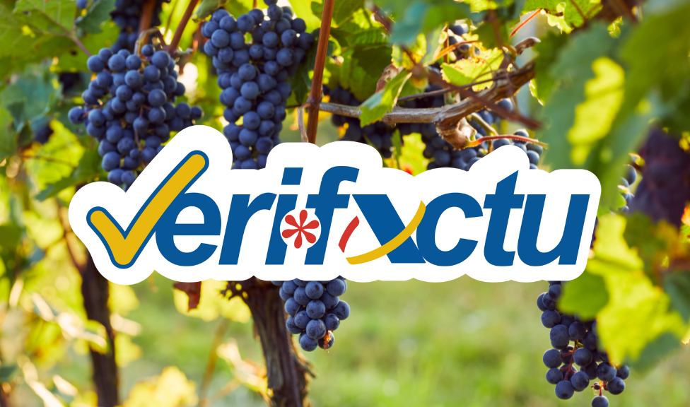 Verifactu en bodegas: una ventaja competitiva que ya puedes aprovechar con Nimbus Bodega